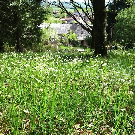 De Laudinie Tatil Evi *